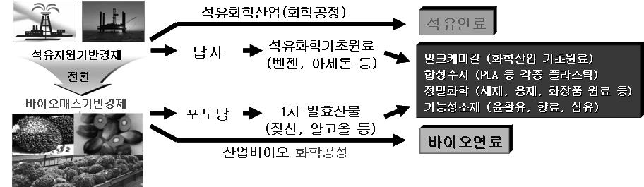 화석원료기반 화학산업과 바이오매스 기반 화학산업의 비교