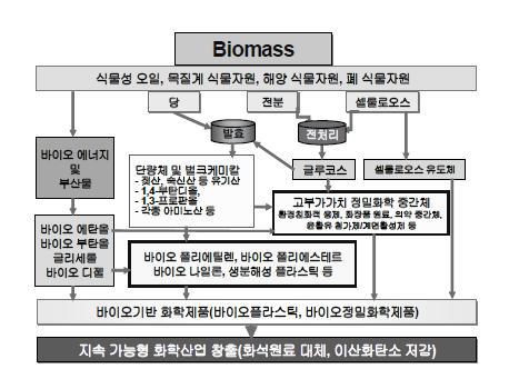 바이오매스 유래의 화학제품 생산 및 흐름도