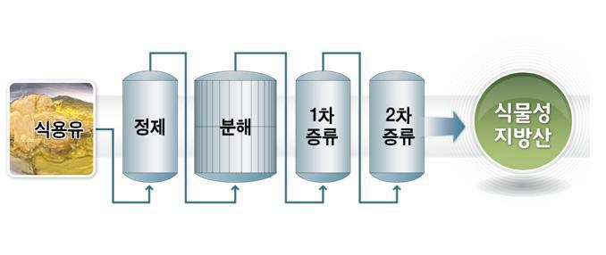 다이머산 생산을 위한 1차 지방산 제조기술