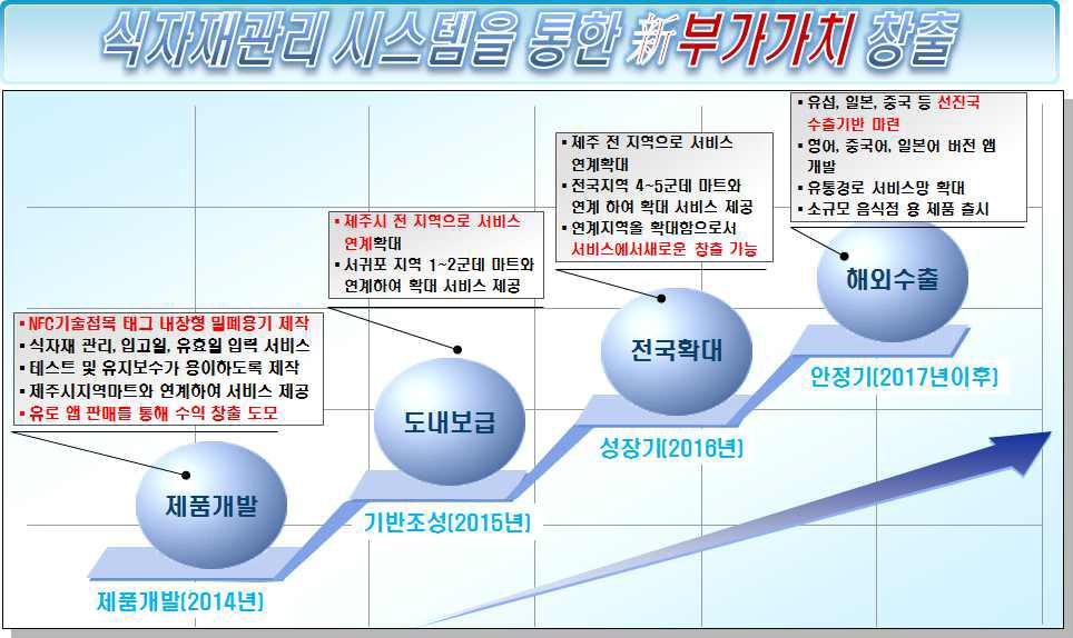 단계적 사업화 방안