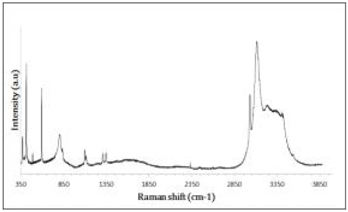 R22-NaCl 4 wt% 하이드레이트의 라만 스펙트라