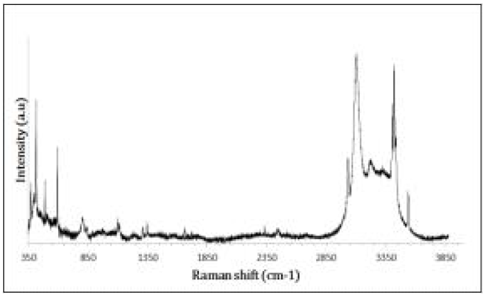 R22-NaCl 13 wt% 하이드레이트의 라만 스펙트라