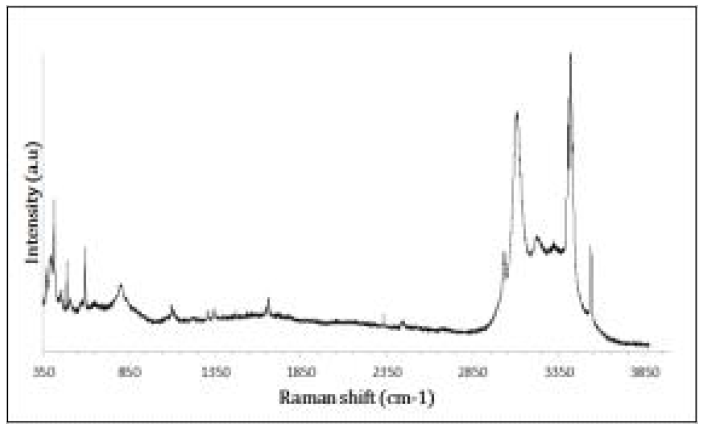 R22-NaCl 20 wt% 하이드레이트의 라만 스펙트라