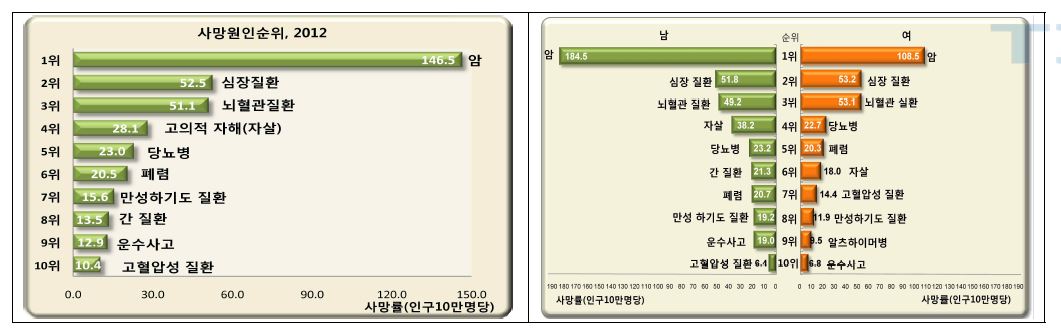 2012년 사망원인순위