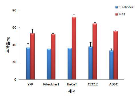 다양한 세포를 이용한 PS scaffold의 부착율