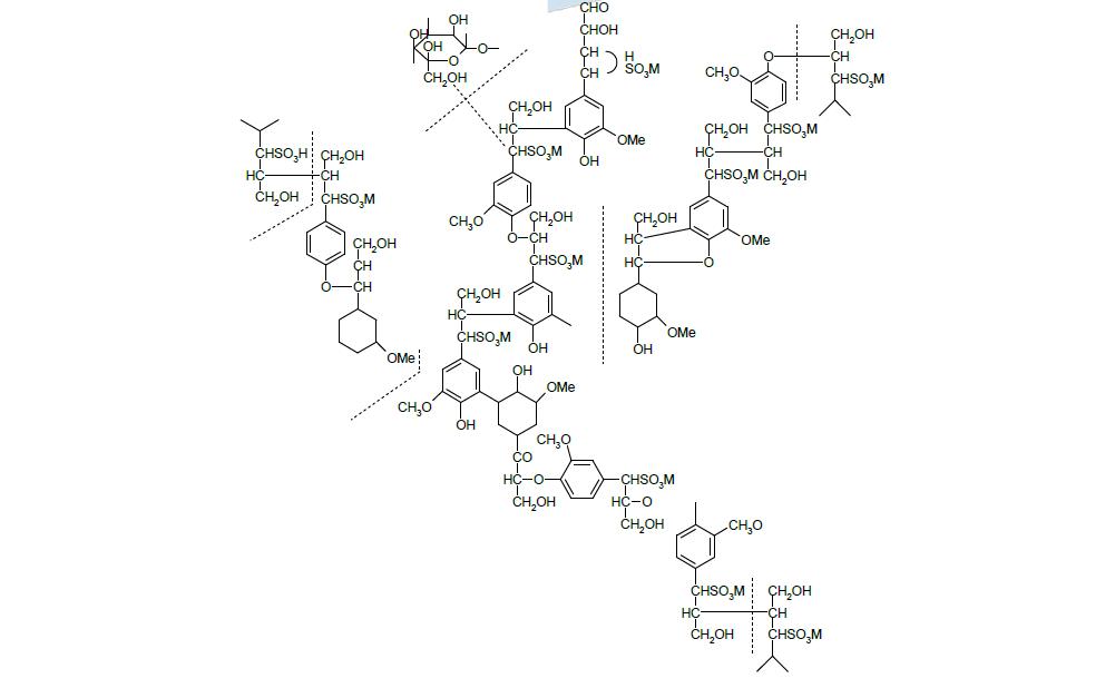 리그닌 술폰산계 혼화제의 구조