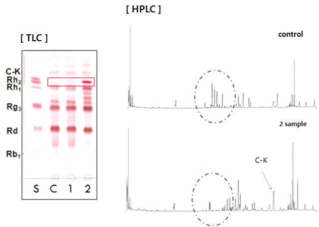 TLC와 HPLC 분석을 통한 minor ginsenoside의 확인.