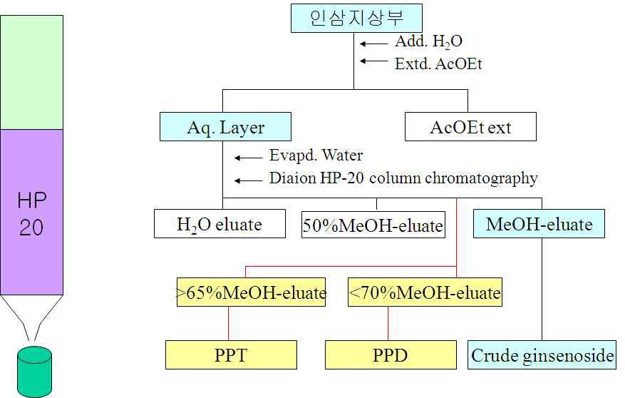 발효된 인삼 지상부로부터 chromatograpy를 통한 crude ginsenoside 획득.