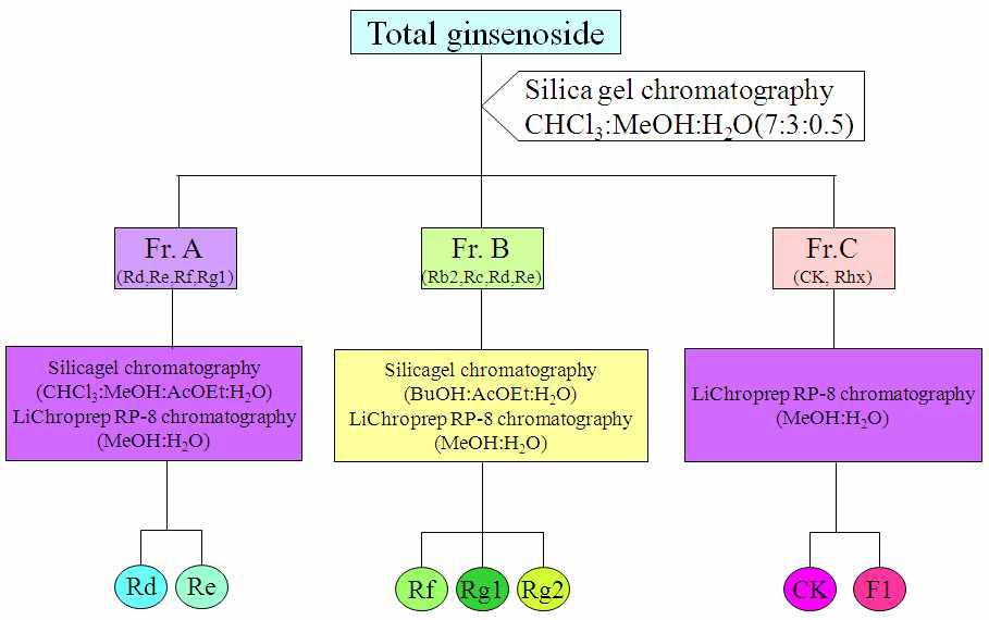 crude ginsenoside으로부터 단일 ginsenoside의 분리 및 정제.