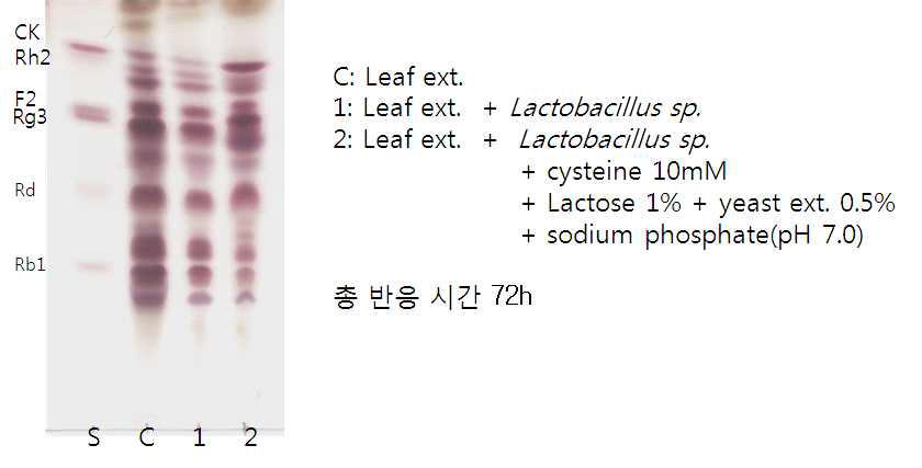 Elicitor 첨가 유무에 따른 ginsenoside 전환 활성 분석.