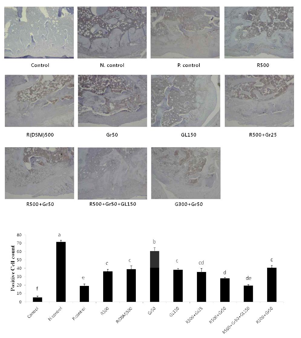 Immunohistochemical analysis of the COX-2 expression after treatment in MIA-induced arthritis.