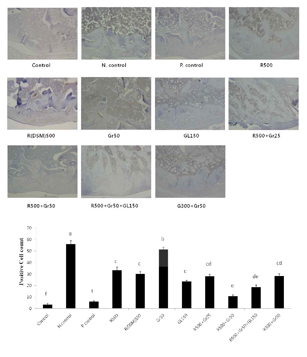 Immunohistochemical analysis of the iNOS expression after treatment in MIA-induced arthritis.