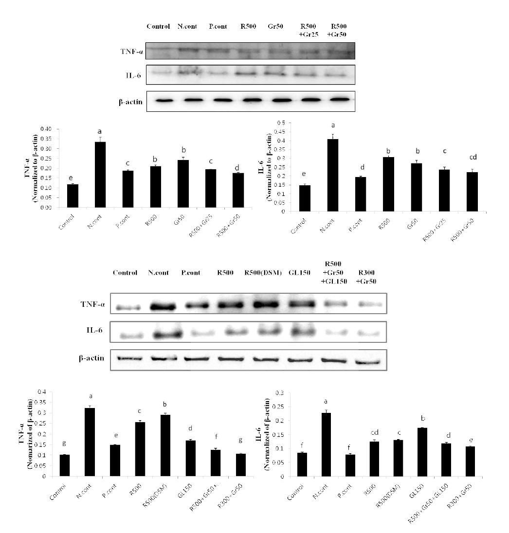 TNF-α, IL-6 protein expression of the OA joints after treatment in MIA-induced arthritis.
