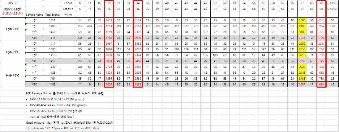 18, 52, 70 group으로 나누어 PCR 진행하고, hybridization 온도 증가