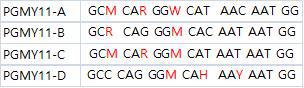 PGMY11 A,B,C,D의 sequence를 degenerate site넣어 수정
