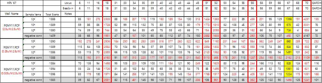 new PGMY 11 Primer로 asymmetric PCR 수행