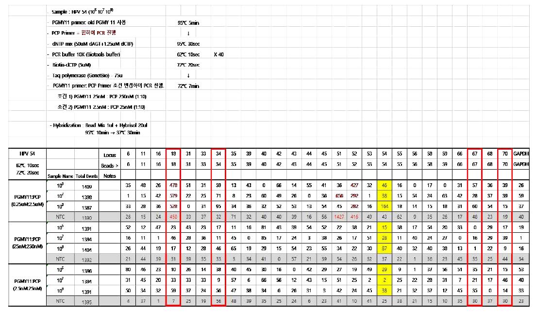 new PGMY 11 Primer로 asymmetric PCR 수행