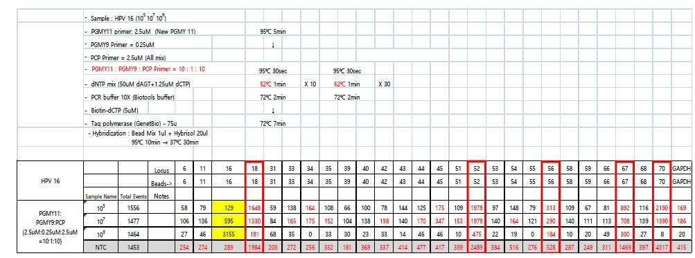 PGMY11:PGMY9:PCP(10:1:10)를 PCR annealing 52℃, 62℃