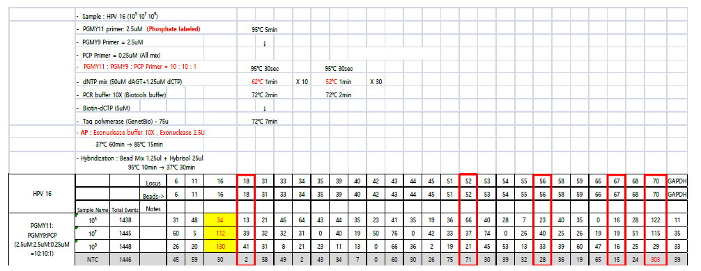 pPGMY11:PGMY9:PCP=2.5uM:2.5uM:0.25uM, exonuclease 2.5u