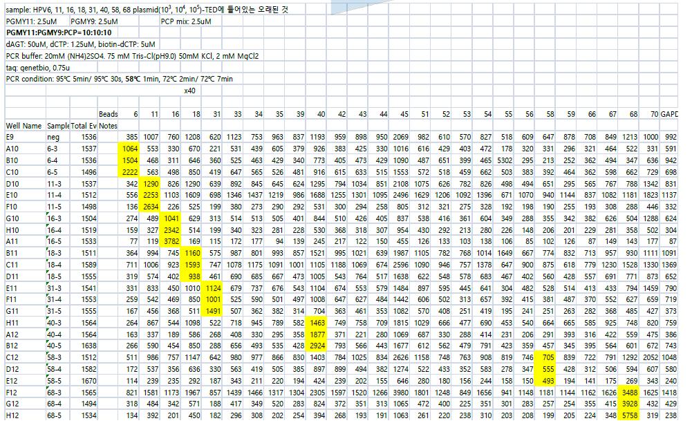 PCR 58℃ 10^3,4,5으로 copy 수 실험