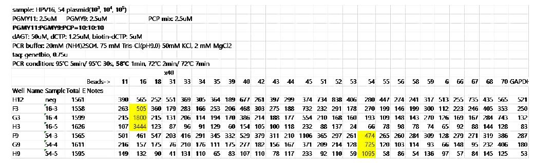 PCR 58℃ 10^3,4,5으로 copy 수 재실험