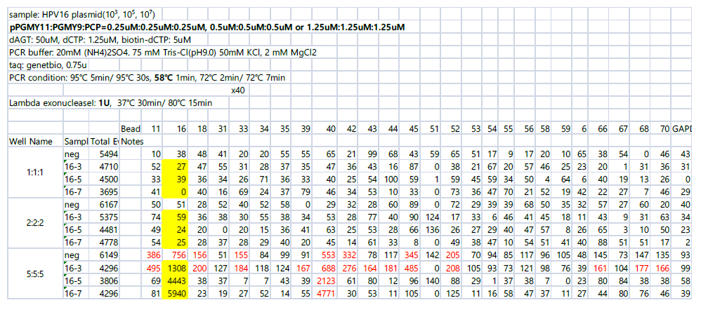 pPGMY11: PGMY9: PCP= 1.25uM: 1.25uM: 1.25uM 와 0.5uM: 0.5uM: 0.5uM