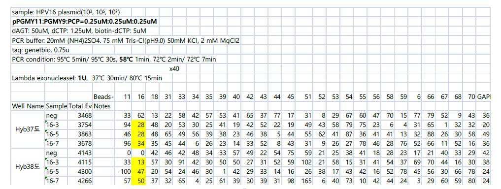 primer 양의 1/10으로 사용하여 pPGMY11: PGMY9: PCP= 0.25uM: 0.25 uM: 0.25 uM