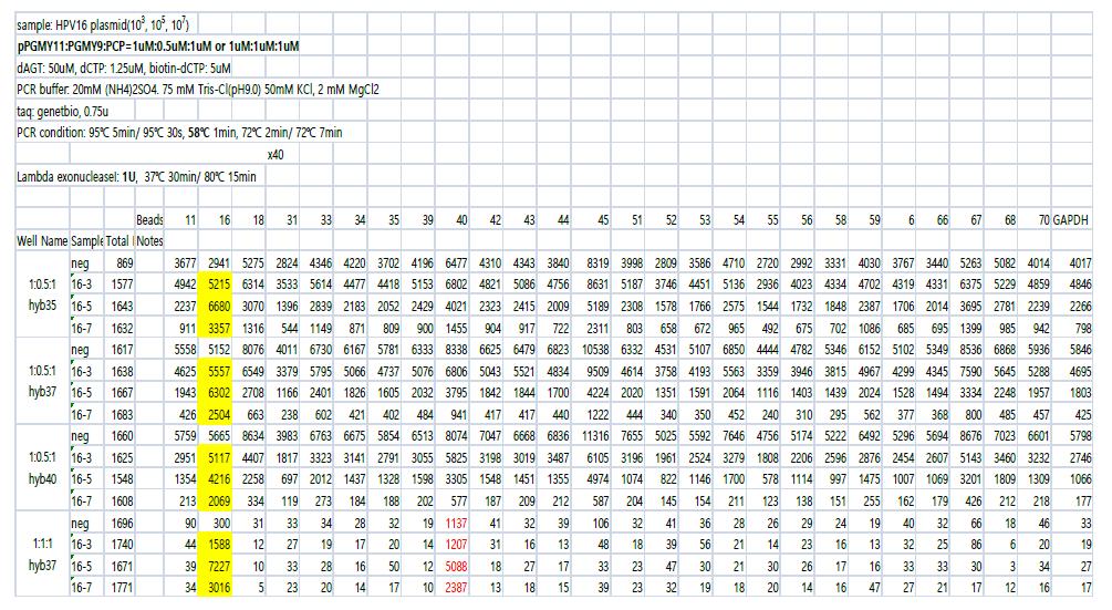 pPGMY11: PGMY9: PCP= 1uM: 1uM: 1uM에서 변형하여 1uM: 0.5uM: 1uM 비교, hybridization temperature 35℃, 37℃, 40℃ 비교