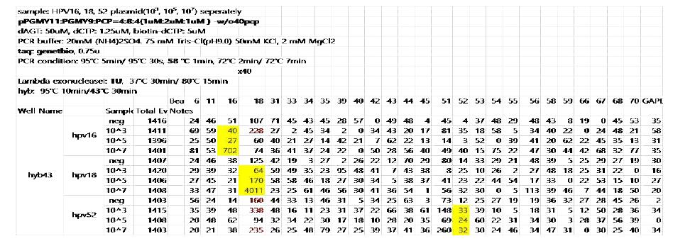 40번 PCP 유/무, PCP 및 probe 길이 비교에 따른 변화 (hybridization= 43)