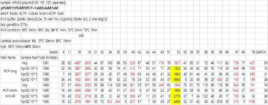 PCR 온도: 58℃->56℃, hyb : 37℃->40℃로 변화