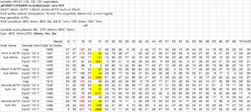 biotin-dCTP: 5uM -> 25uM, hyb 시간을 30min, 1hr, hr 늘려 비교