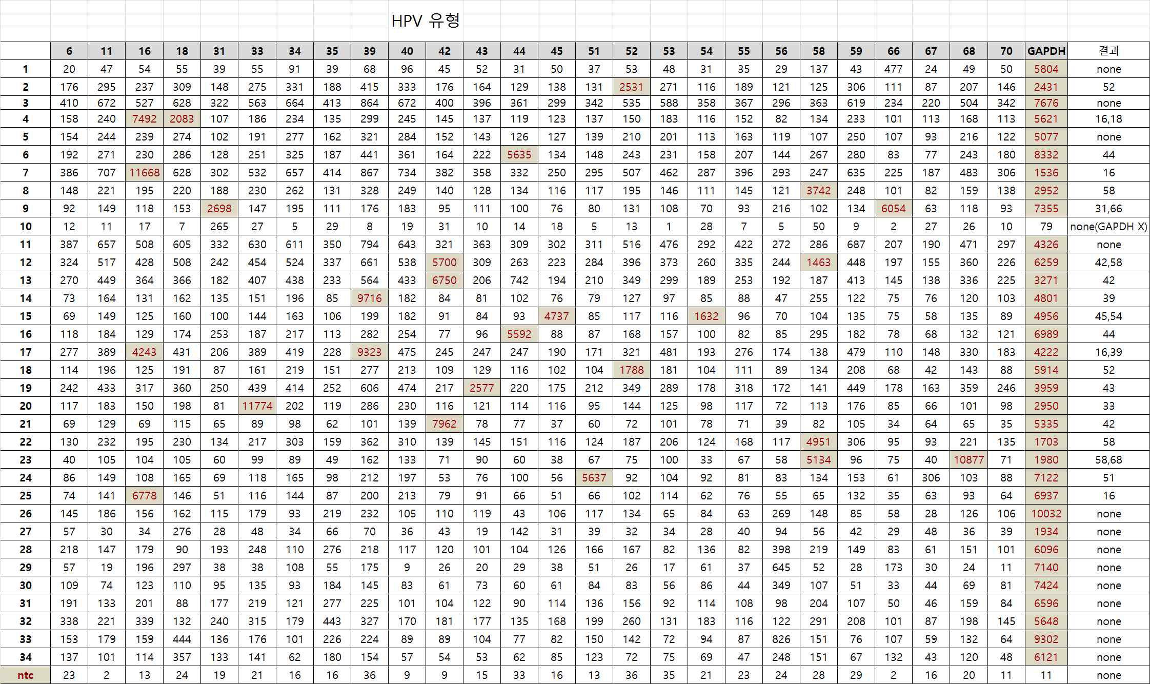 HPV one step 임상 검체 34개 확인