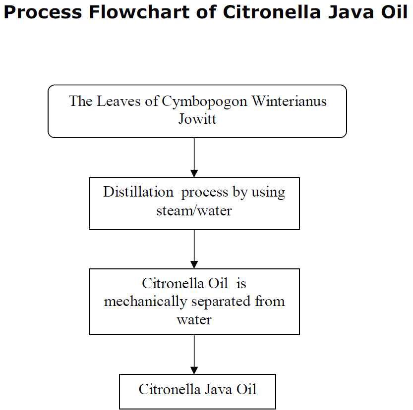 Citronella oil 원료추출 과정