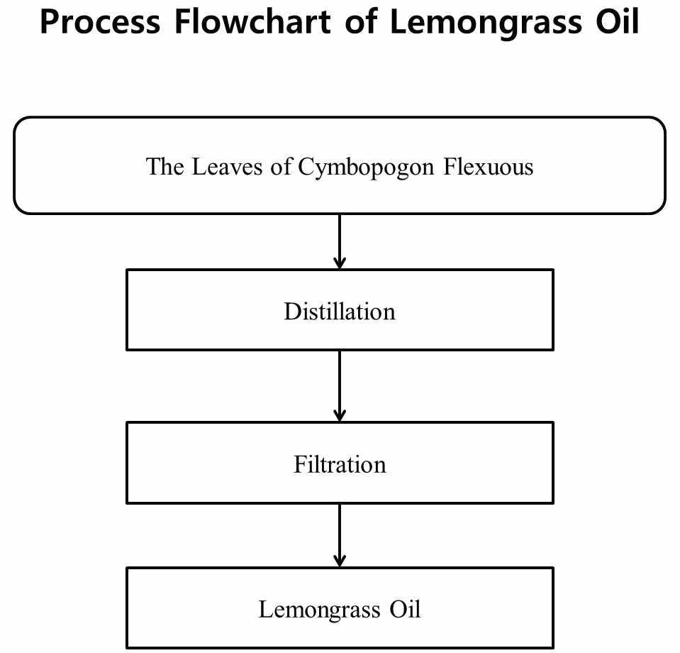 Lemongrass oil 원료 추출 과정