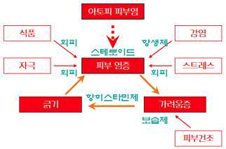 아토피 피부염의 원인과 치료 현황