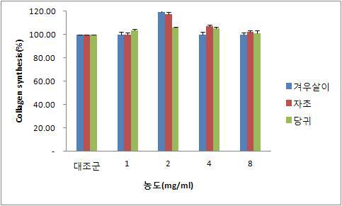 초임계 단일추출물의 콜라겐 합성능