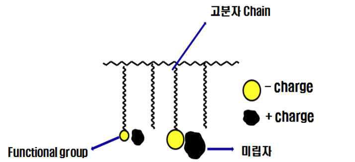 극성도에 따른 관능기와 미립자의 전기적 상호작용