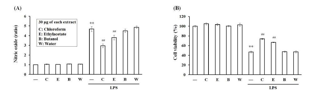 Effects of Phragmitis Rhizoma extracts on the production of NO in LPS-activated Raw264.7 cells.