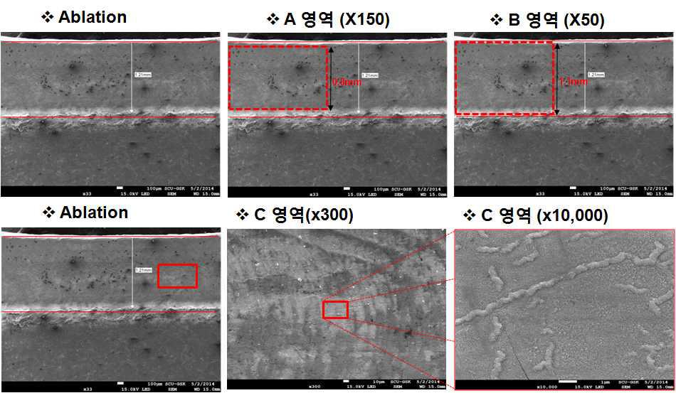 도금층 제거후 SEM 이용한 Image 분석 (순천대 & 기초연)