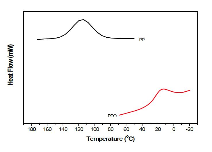 DSC를 이용한 PP와 PDO 고분자의 냉결정화
