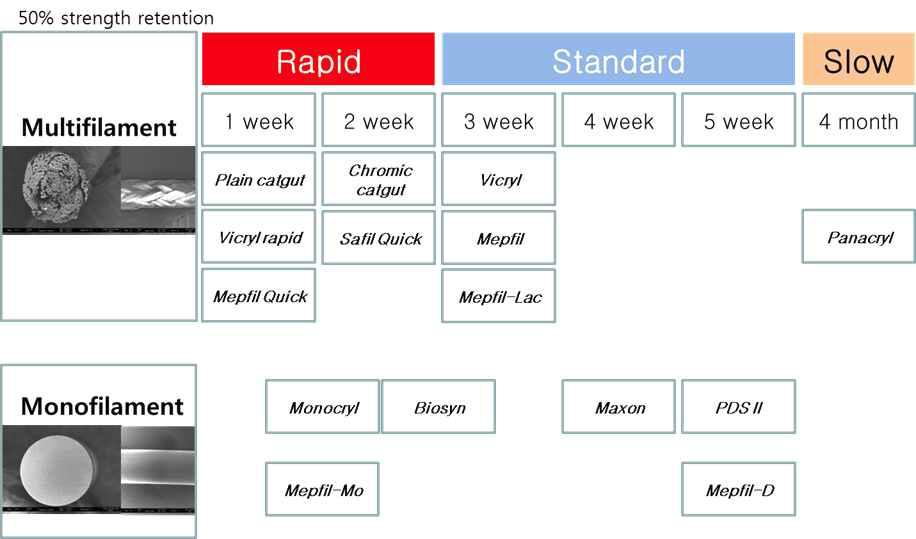 분해기간 및 형상에 따른 필라멘트 분류