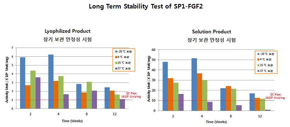 SP1-FGF2의 보관 온도별 장기보관 안정성 시험
