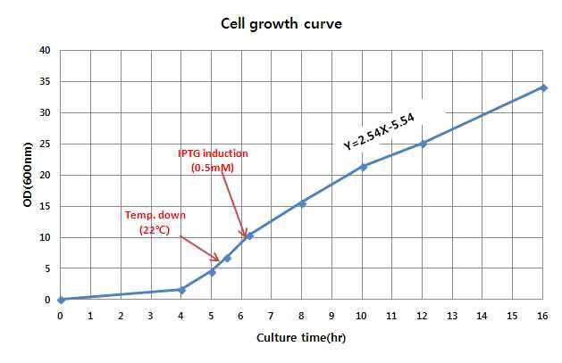 회분식 배양 과정에서의 cell growth pattern