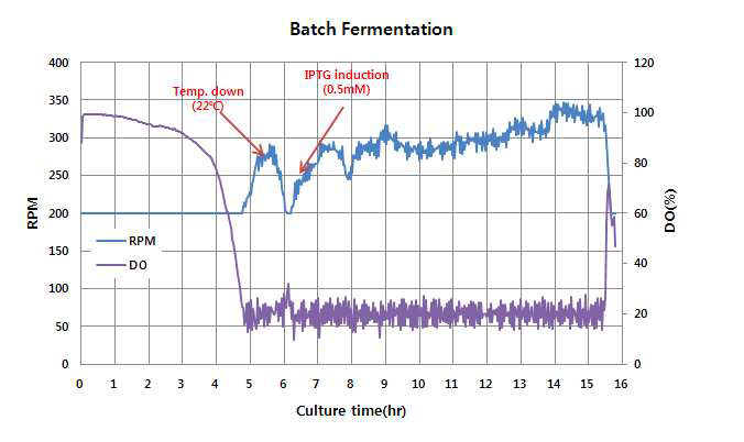 회분식 배양 과정에서의 발효조 내의 용존산소(DO) 및 RPM 변화