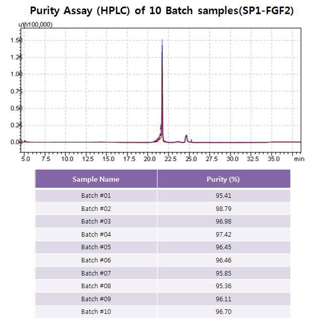 SP1-FGF2 정제 산물(10batch)의 HPLC에 의한 순도 분석 결과