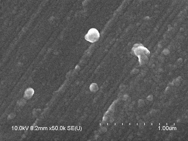 SEM images of cubosomes containing RP.