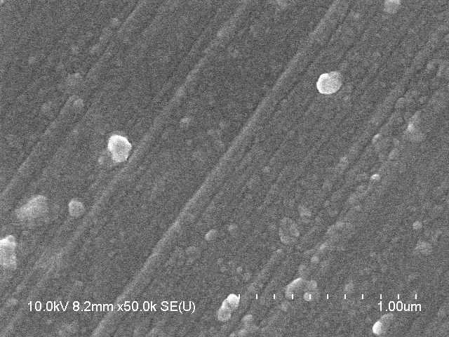 SEM images of cubosomes containing RP.