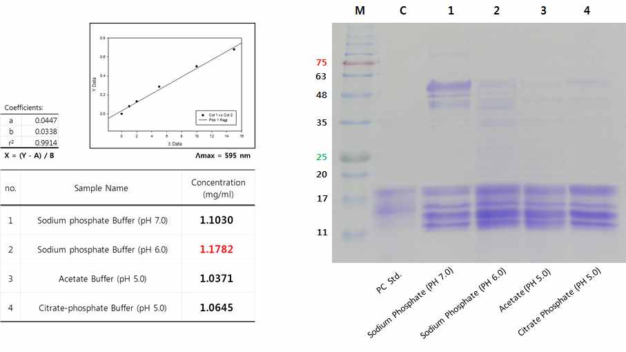 그림 07. 천연 PC 단백질 추출물의 총단백질 농도(좌) 및 SDS-PAGE에 의한 분자량 확인 결과(우)