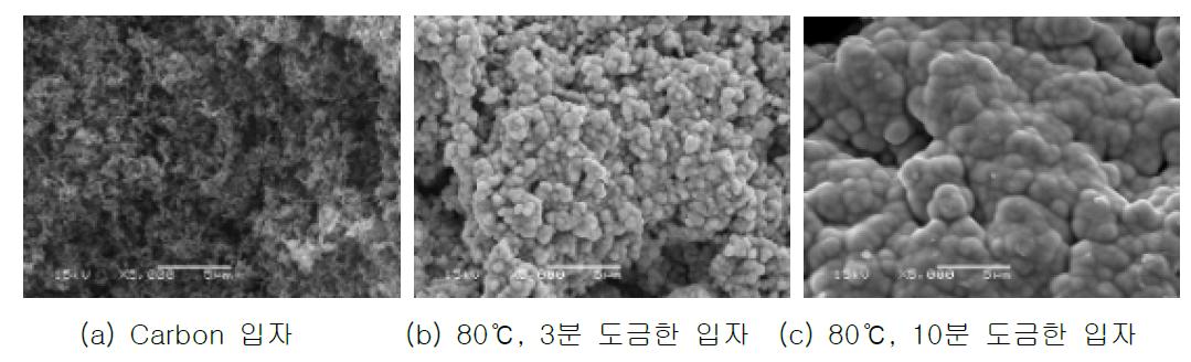 도금 조건에 따른 Carbon/Ni 입자 미세구조