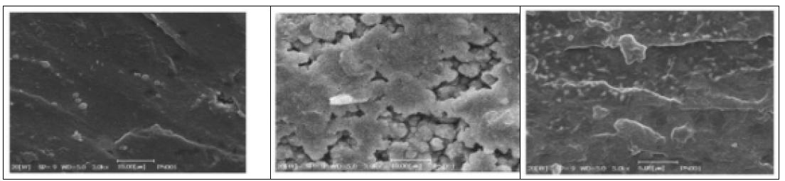 실험에 사용된 Lithium의 표면 SEM사진 (좌측부터 1,2,3번 실험 순)